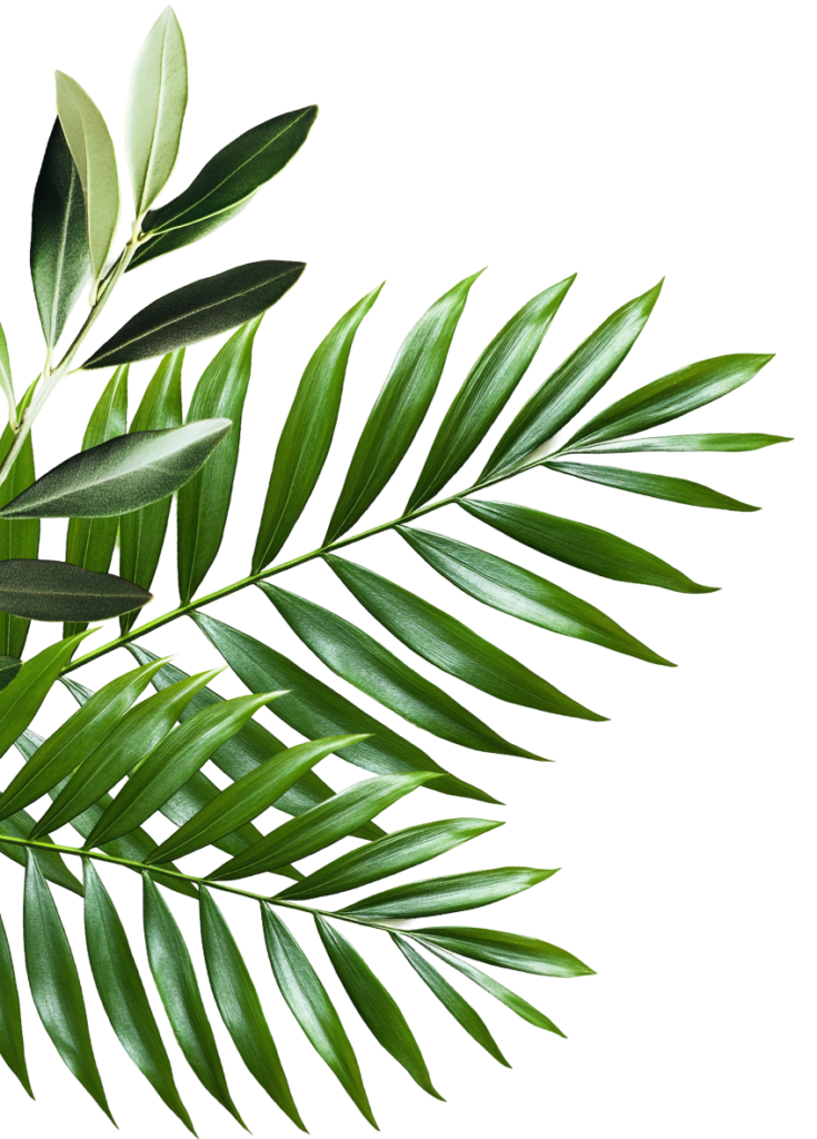 leafs